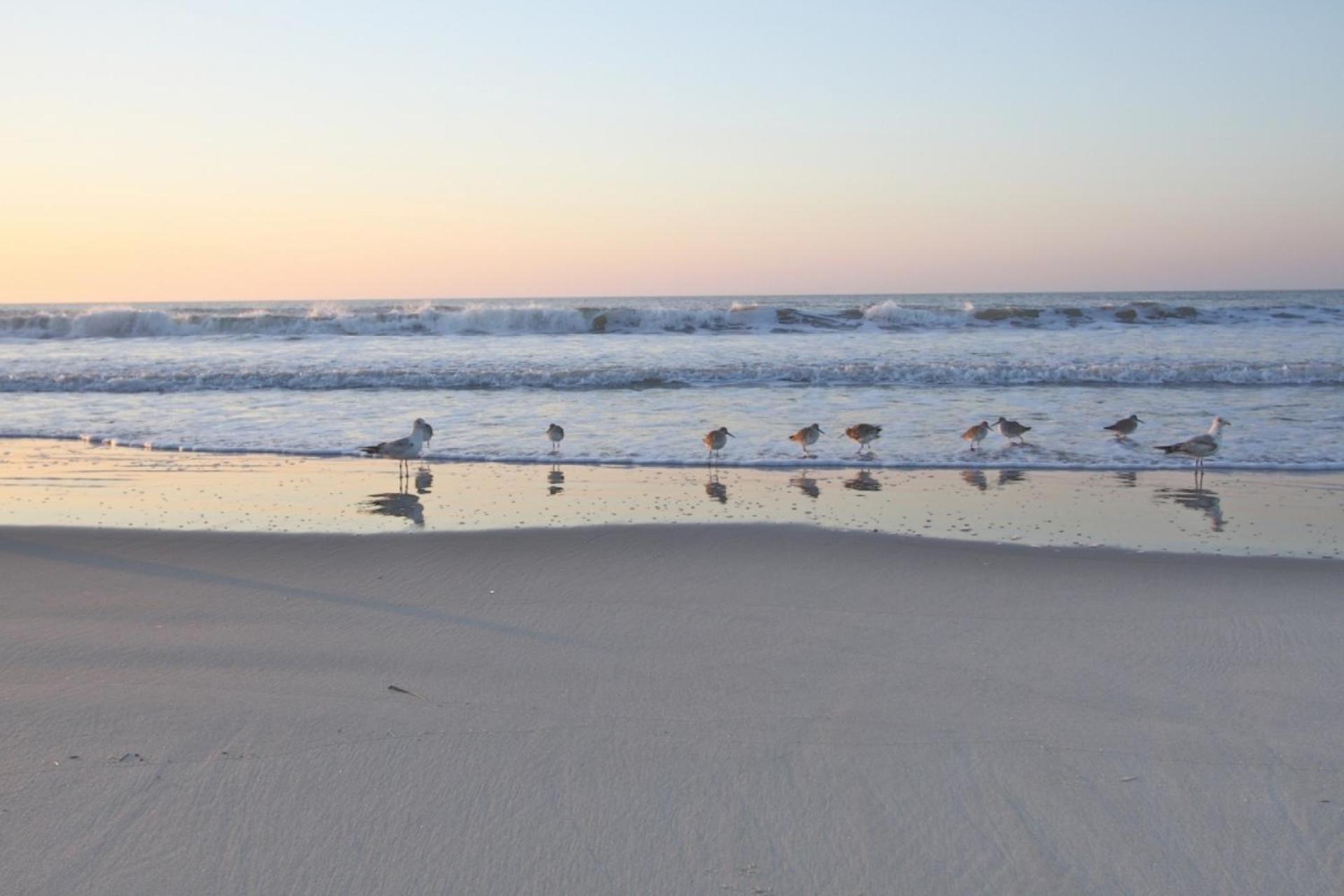 Serenity Folly Beach Bagian luar foto